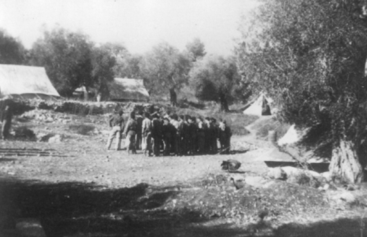 סריס (כיום שורש)