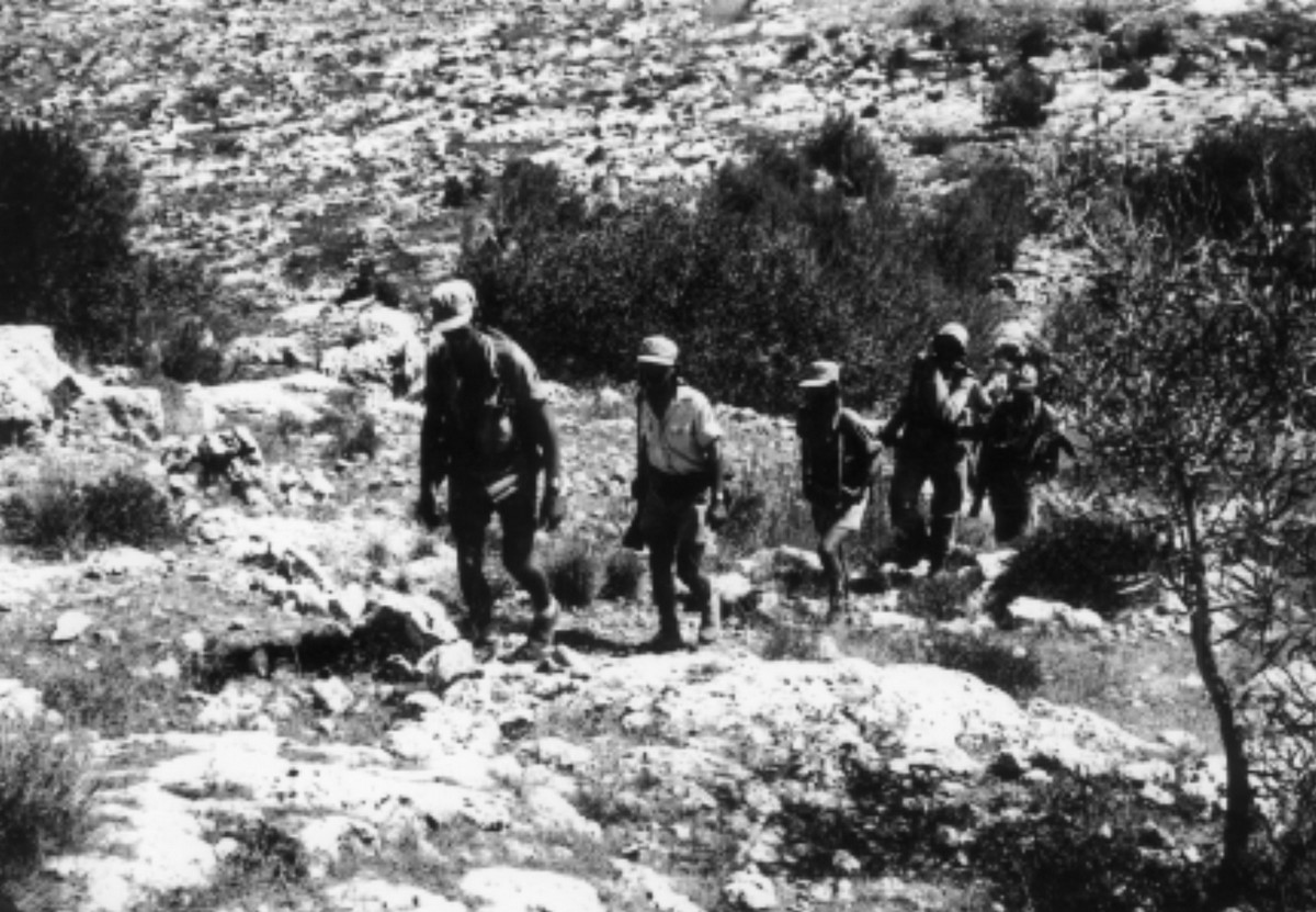  סריס (כיום שורש)