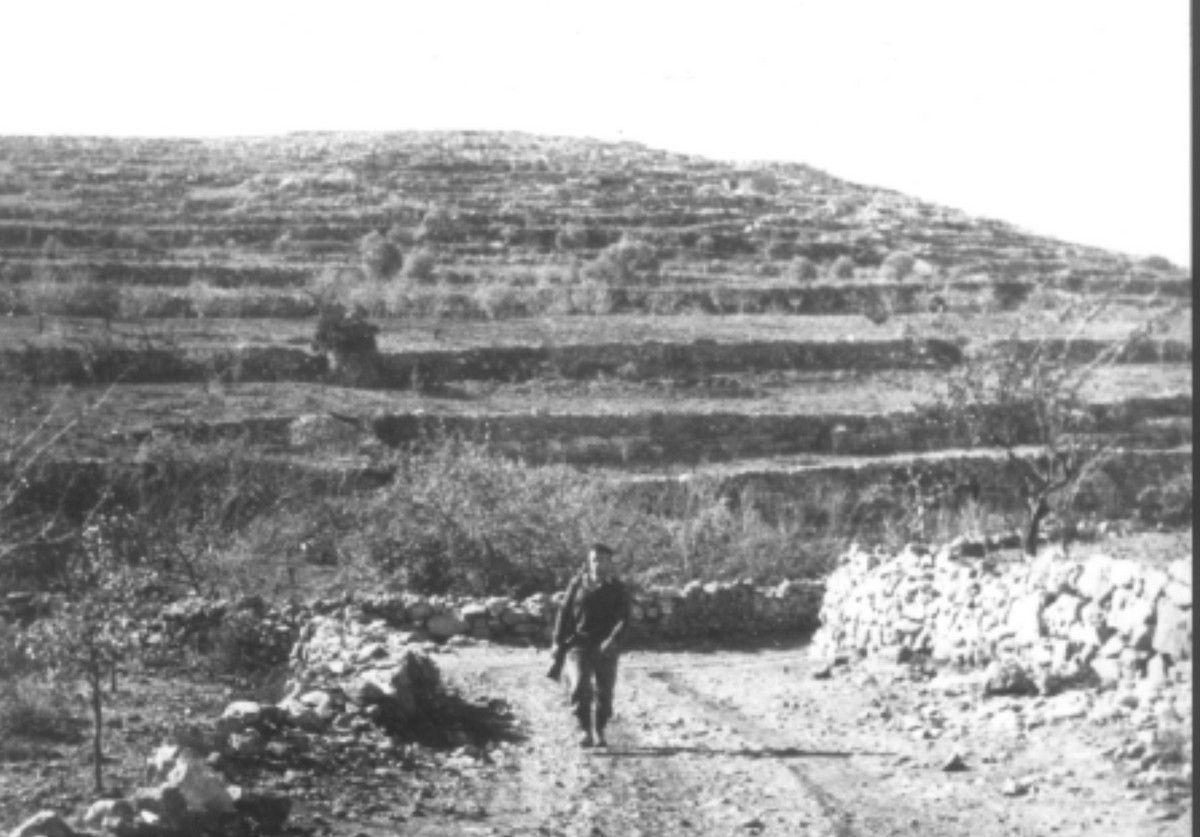 סריס (כיום שורש)