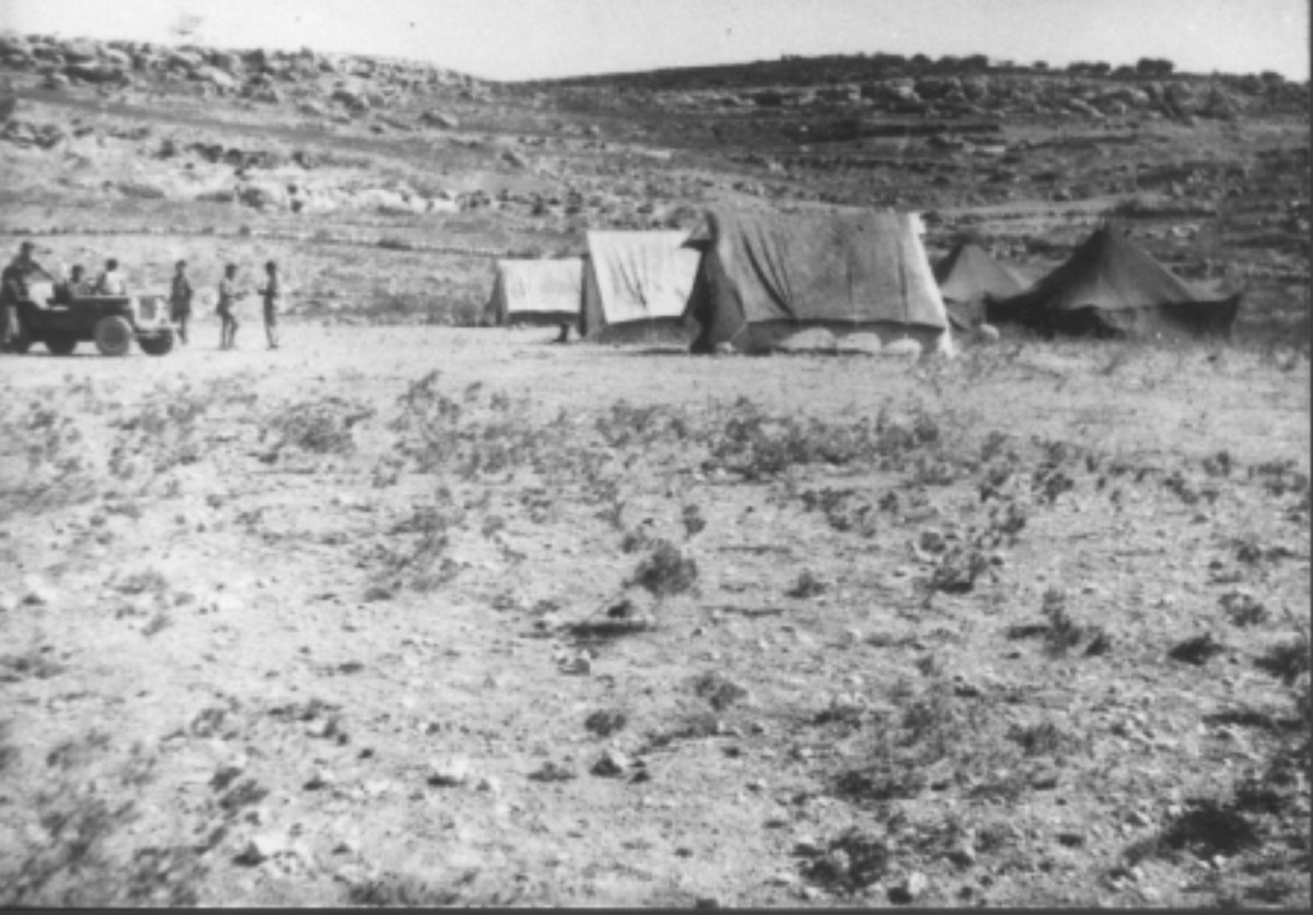 סריס (כיום שורש)