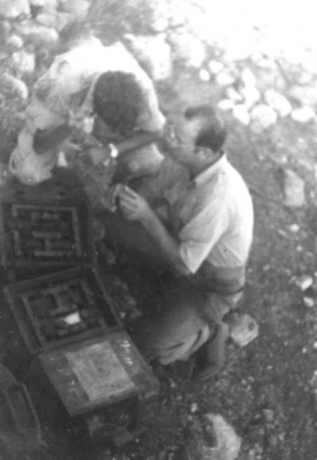 סריס (כיום שורש)