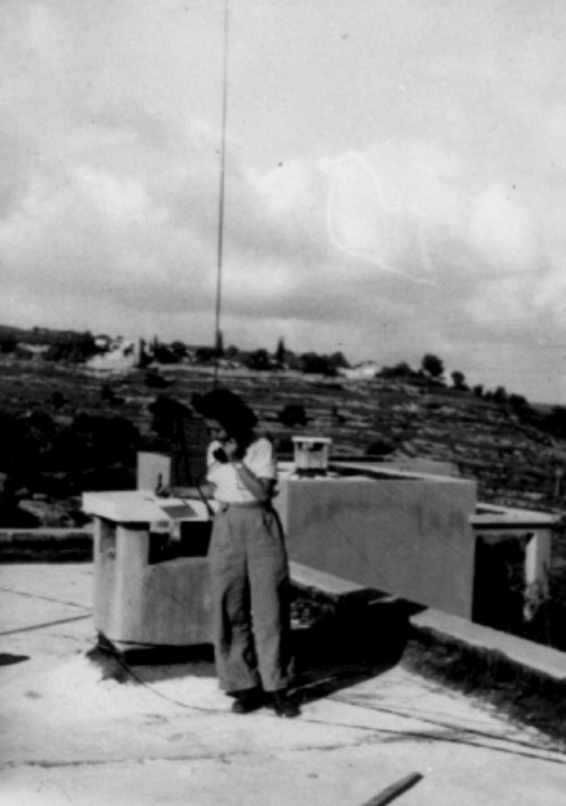 סריס (כיום שורש)