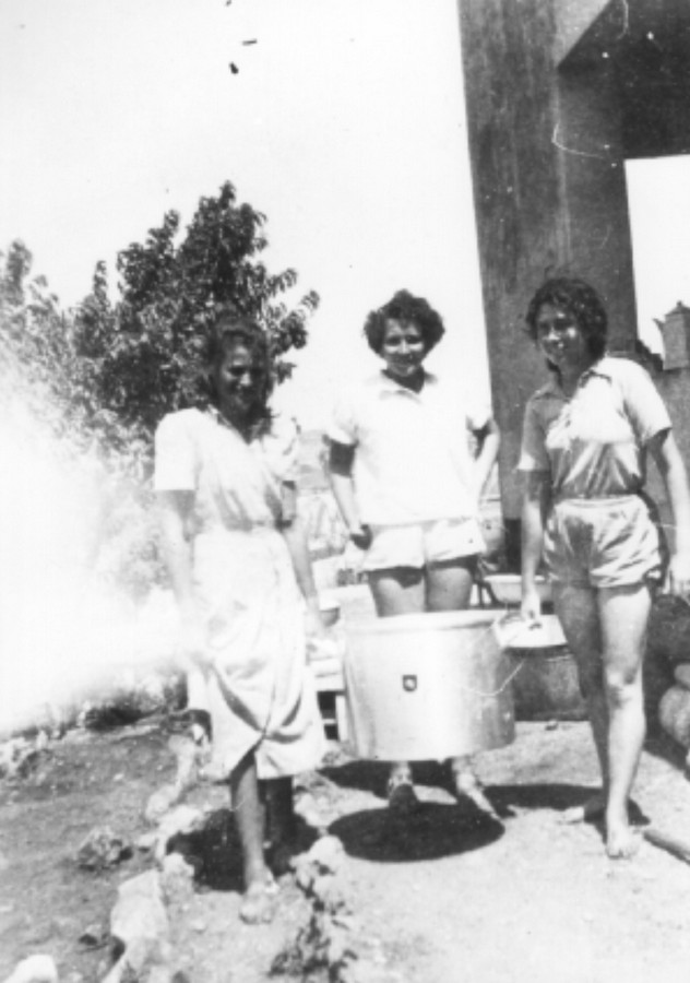 סריס (כיום שורש)