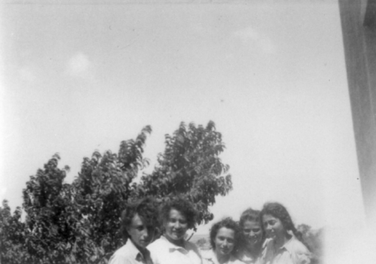  סריס (כיום שורש)