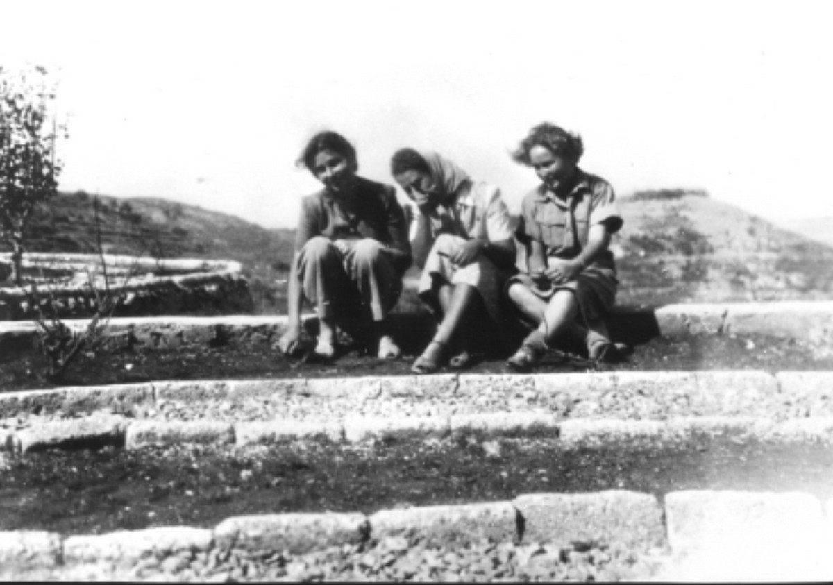 סריס (כיום שורש)
