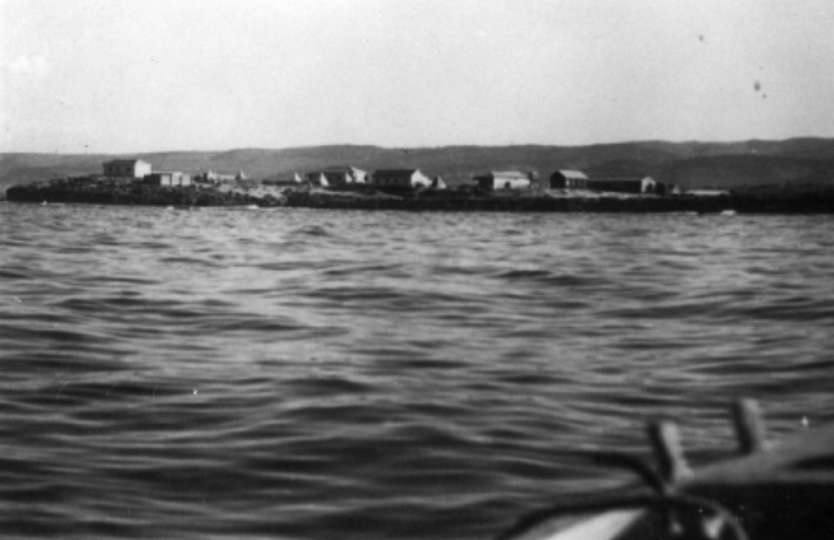 ב-מאי 1947 יצאנו להכשרה בקיבוץ נווה ים
