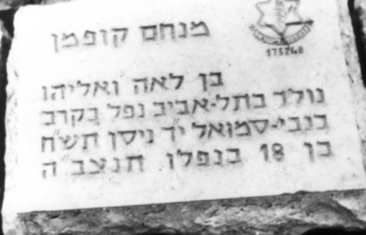 קרבות "עשרת הימים" - יולי 48