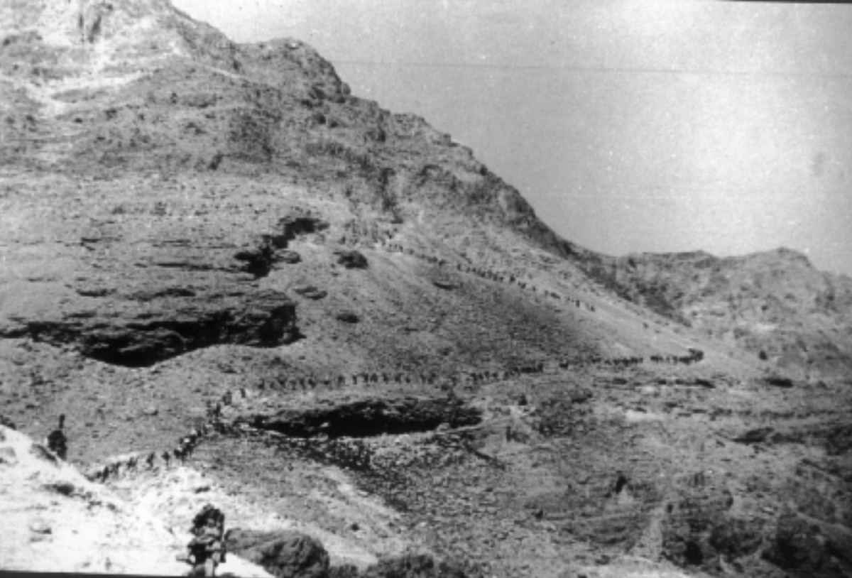 עליה למצדה בהדרכת מנשקה הראל