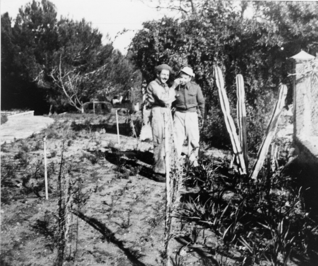 בית הי"ד - בית החלמה לפצועי הפלמ"ח ע"ש חללי גשר הזיו
