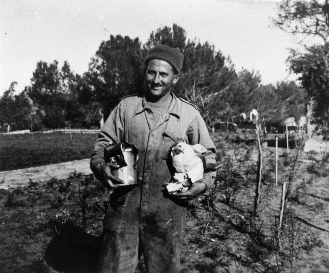 בית הי"ד - בית החלמה לפצועי הפלמ"ח ע"ש חללי גשר הזיו