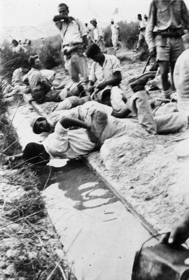 מסעות הפלוגה 1942-46