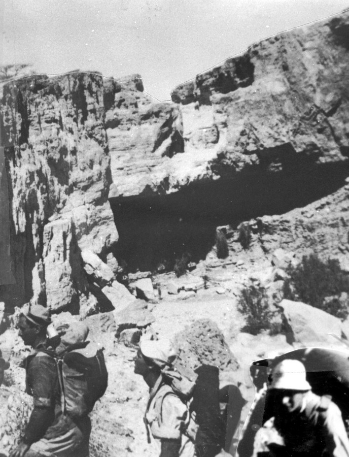 מסעות הפלוגה 1942-46