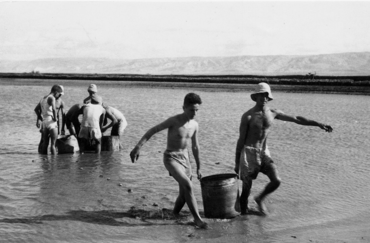 הכשרת בית הערבה-חפציבה : "חיות הערבה"