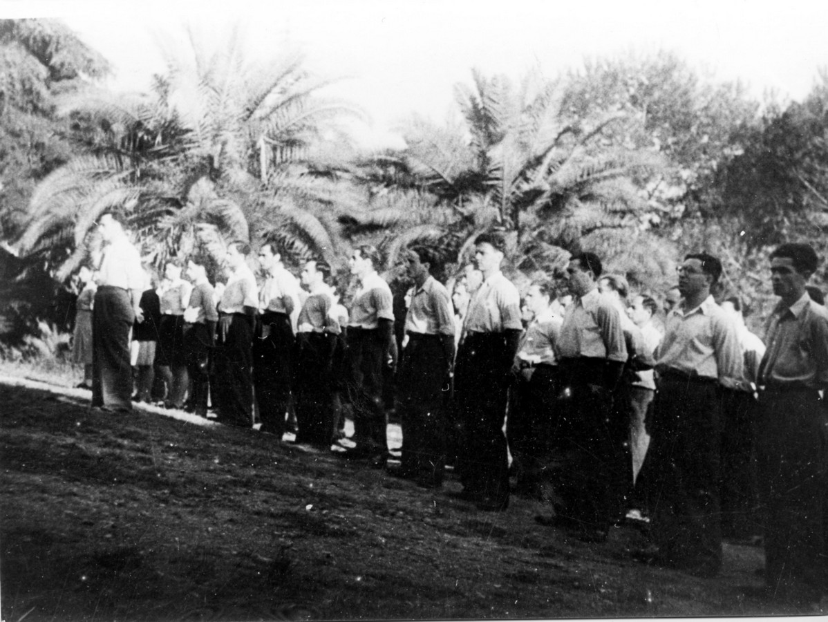 הארמון בגנואה (בוליאסקו)