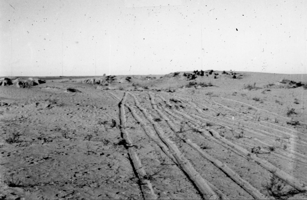 מבצע חורב (מבצע "עין") -  22.12.48 -15.1.49