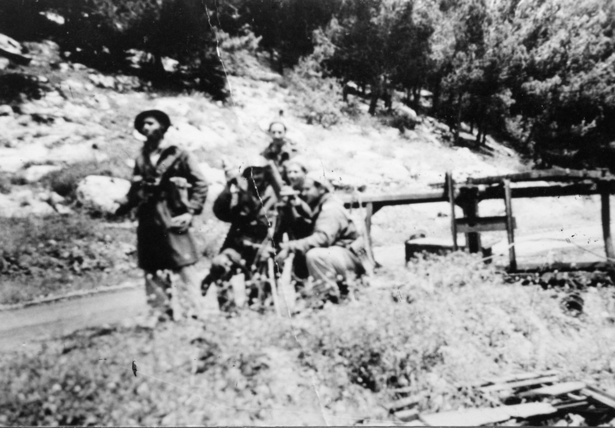 מבצע "מכבי"