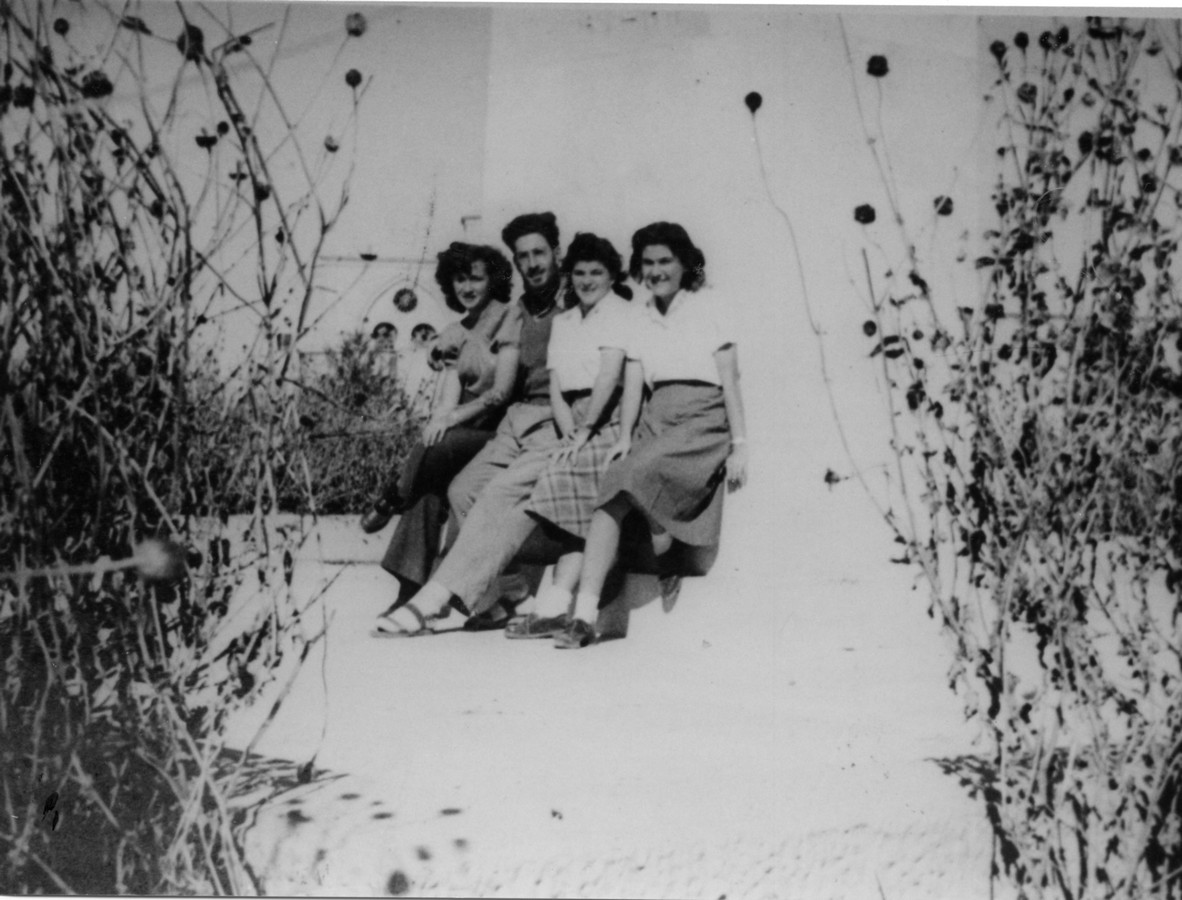 מבצע "יואב" ("עשר המכות")