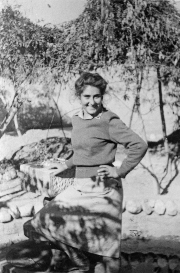 מבצע "יואב" ("עשר המכות")