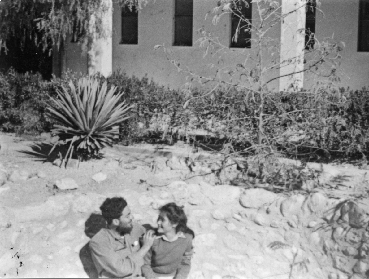מבצע "יואב" ("עשר המכות")