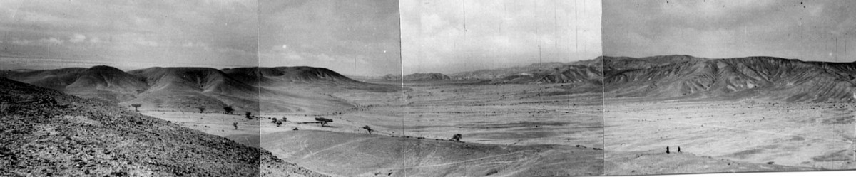 מבצע עובדה- מרץ 1949