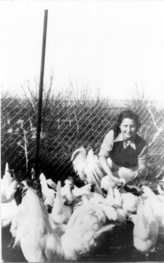 במשק הפועלות - נהלל