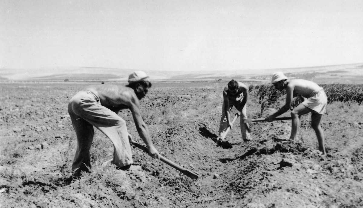 פלוגה ג' – פורצי מעלה פלמח