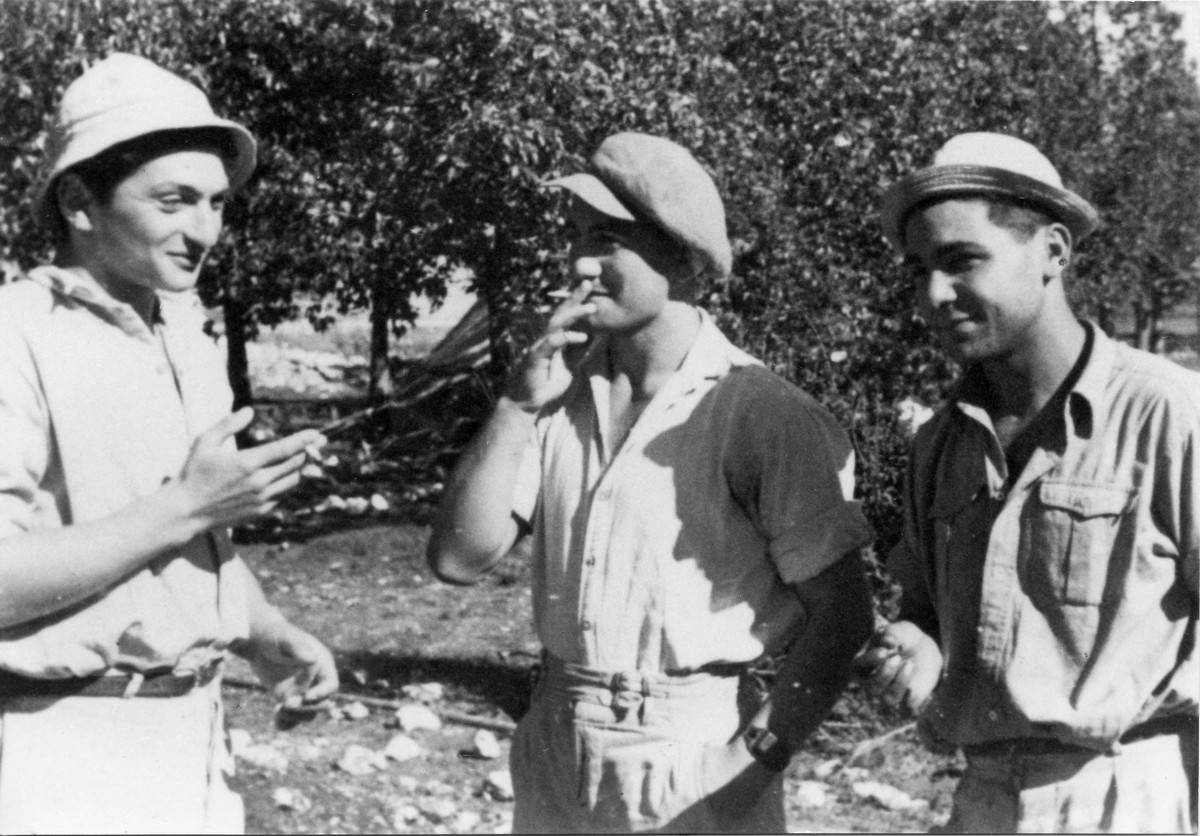 דמויות בפלוגה
