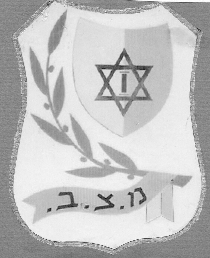 סמל הפלוגה
