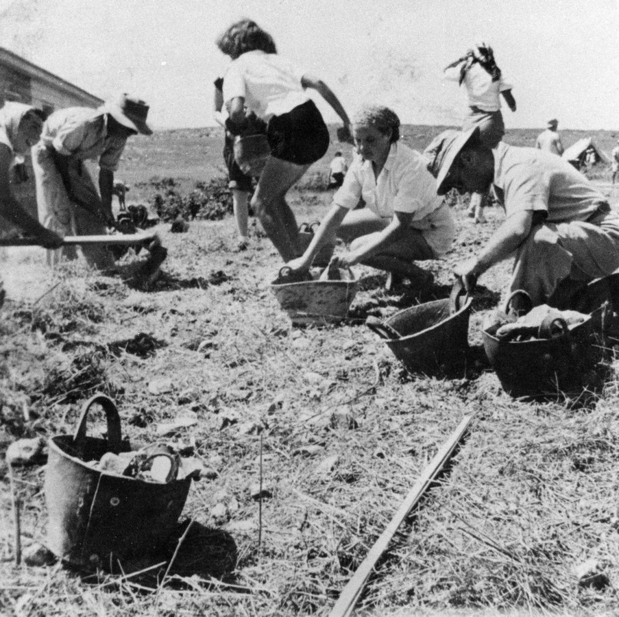 הכשרת רמת דויד גרעין ב' 1944-5