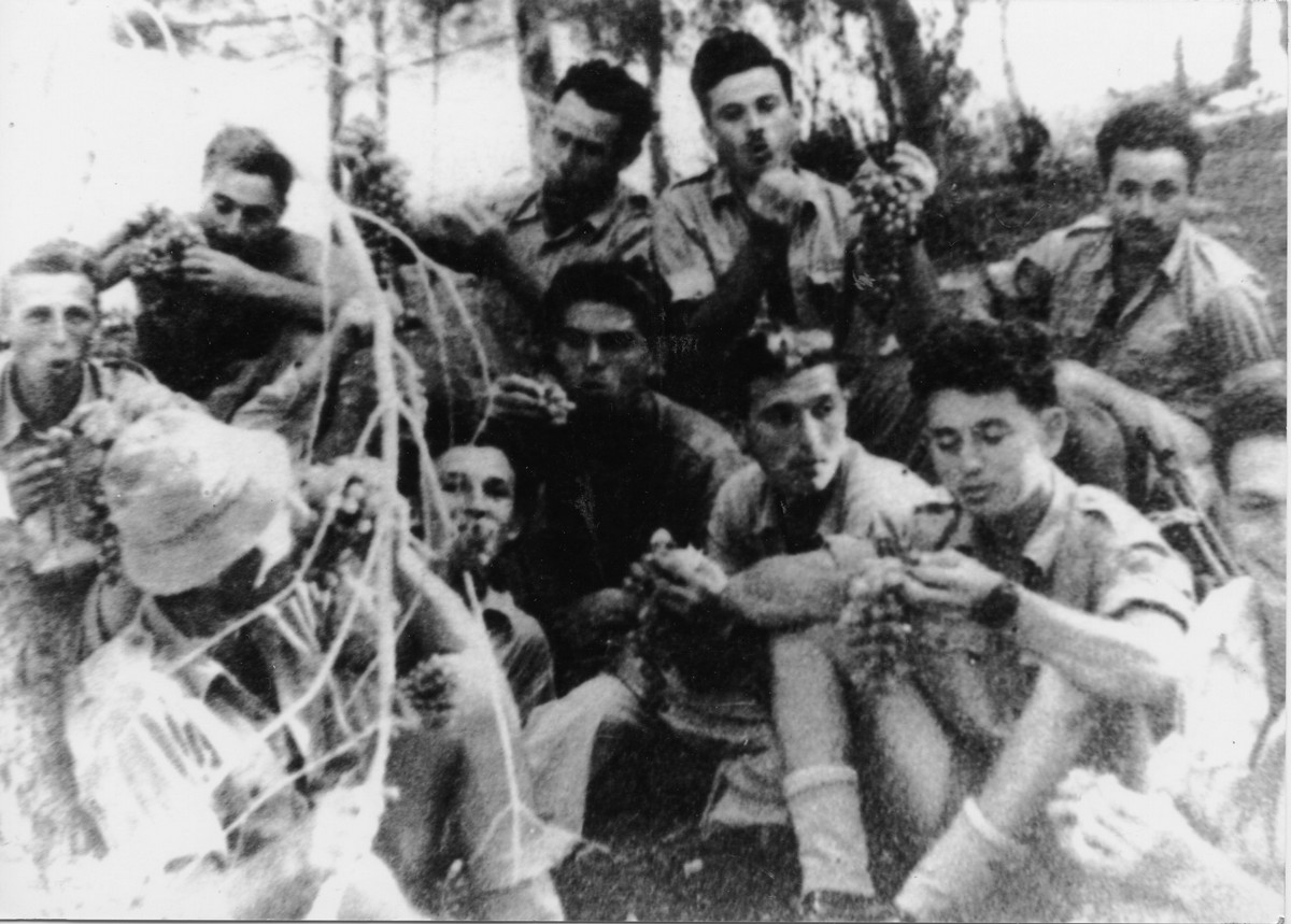 ראשית 1941 - 1942