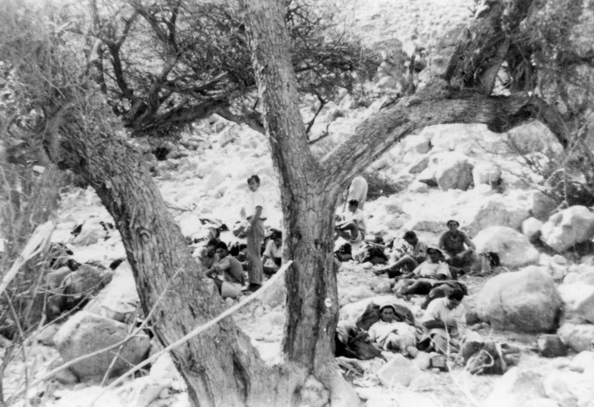 בגיוס מלא- 1942 עד 1944-1946