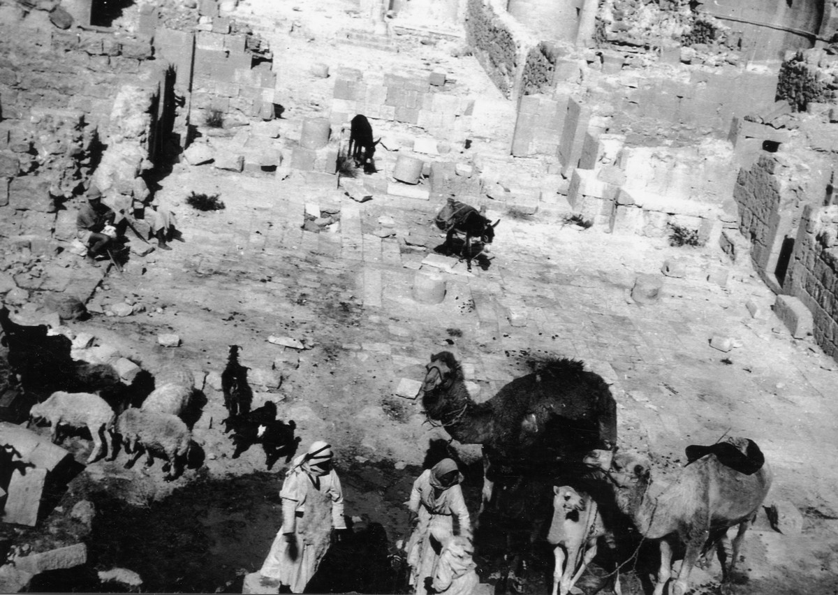בגיוס מלא- 1942 עד  1944-1946