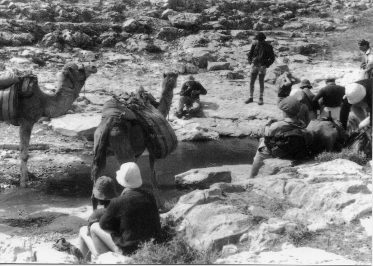 בגיוס מלא- 1942 עד  1944-1946