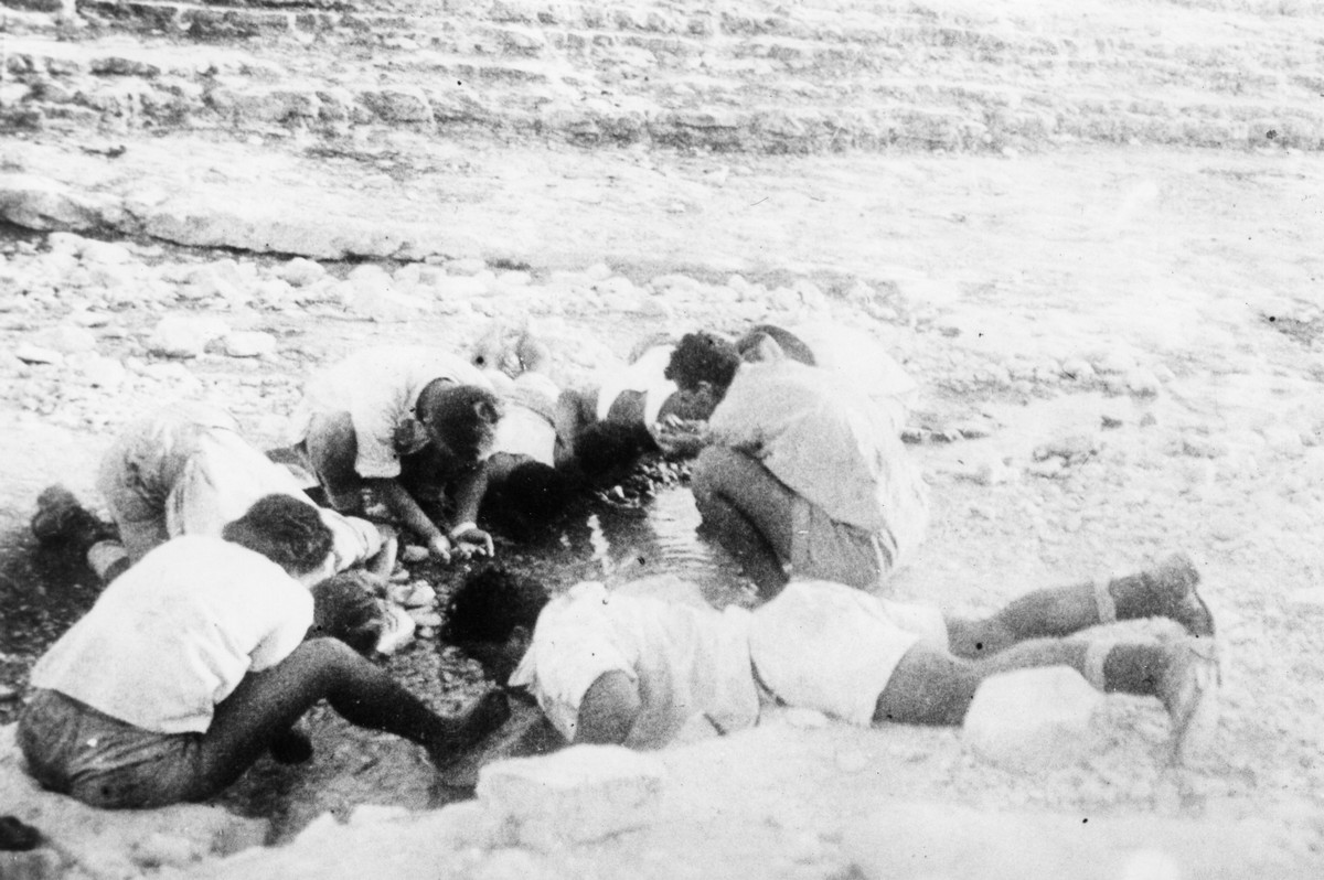 בגיוס מלא- 1942 עד  1944-1946