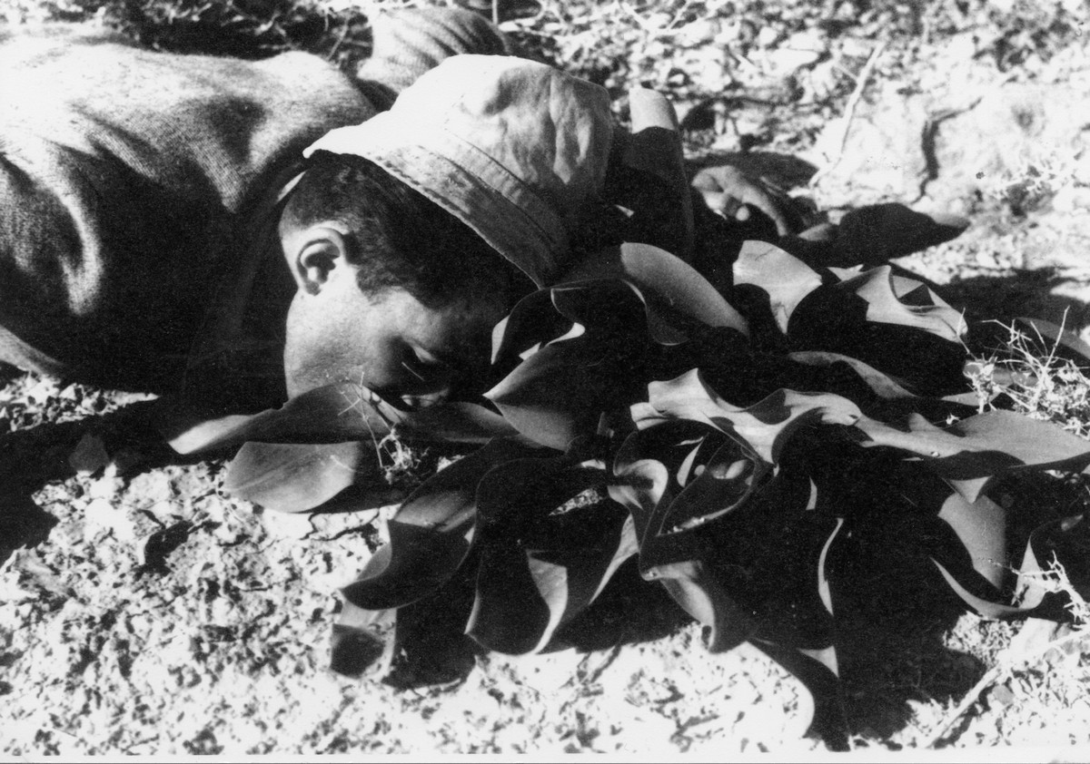בגיוס מלא- 1942 עד 1944-1946
