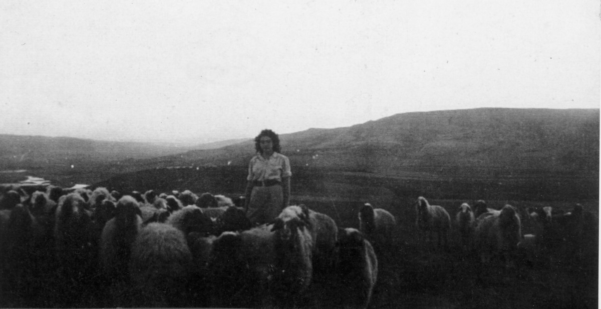 הכשרת משמר השרון - 1946-7