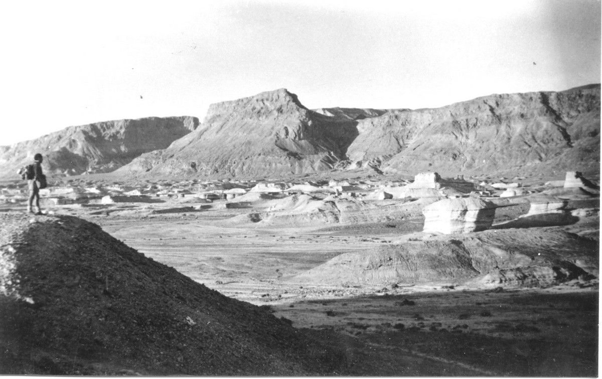 מסע הפלוגה לנגב - מרץ 1947