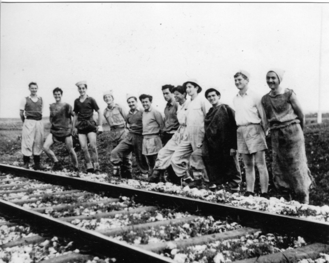 מח' החלוץ בקיבוץ נען - ינואר-מרץ
