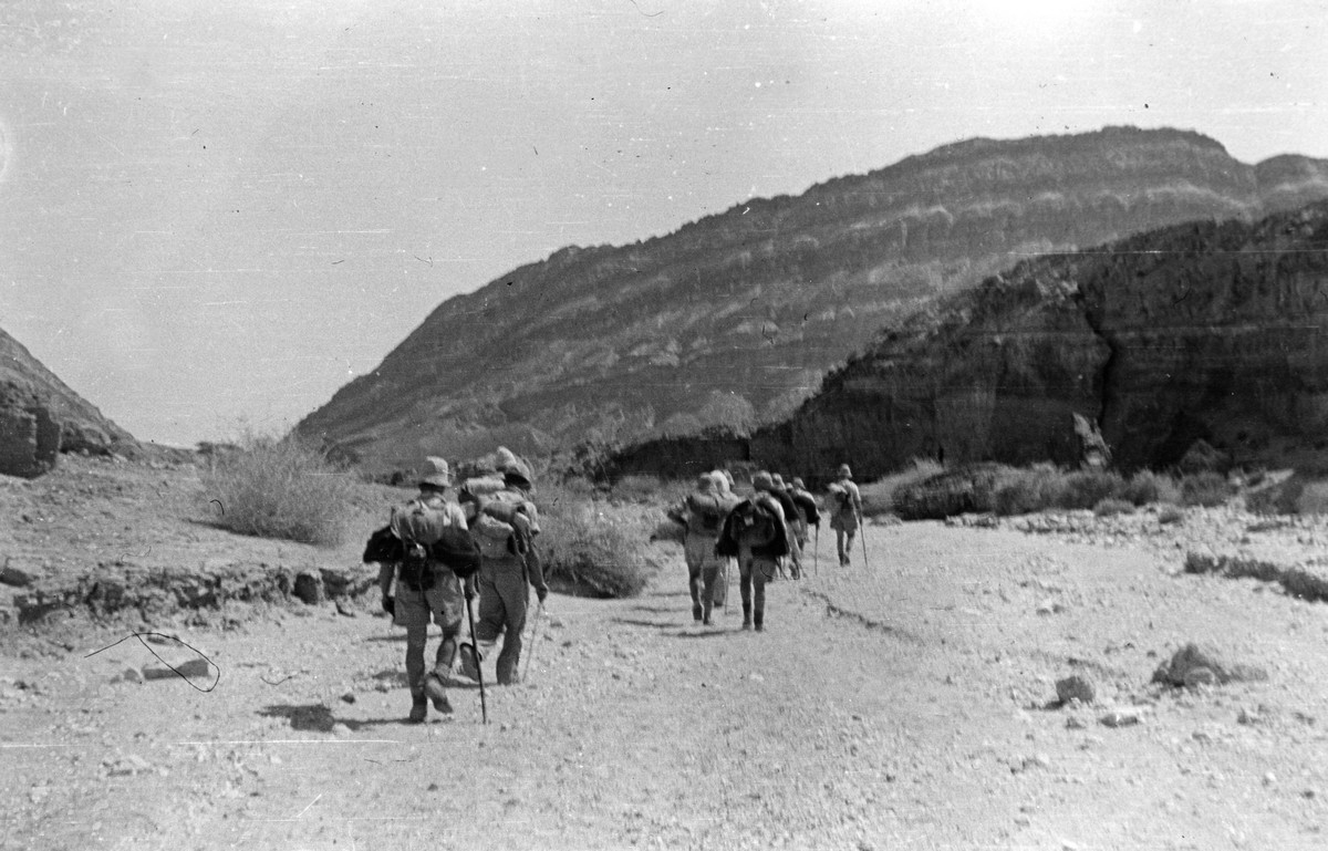 מסעות למצדה 1943 , 1944