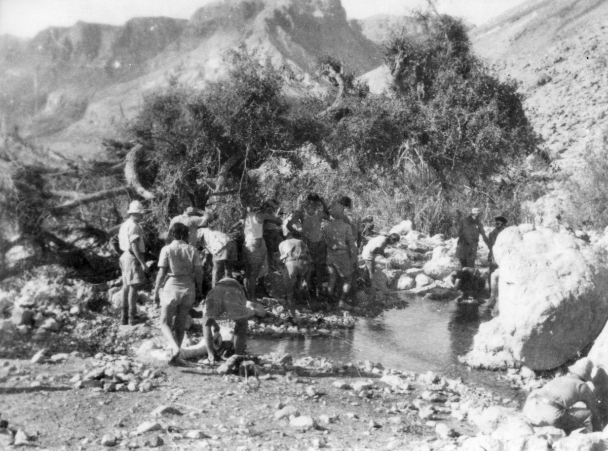 למצדה 4.1947 המסע האחרון של הפלמ"ח