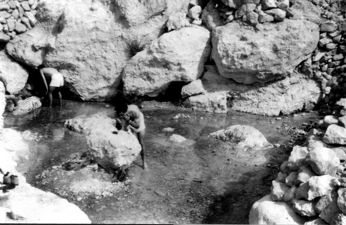 למצדה 4.1947 המסע האחרון של הפלמ"ח
