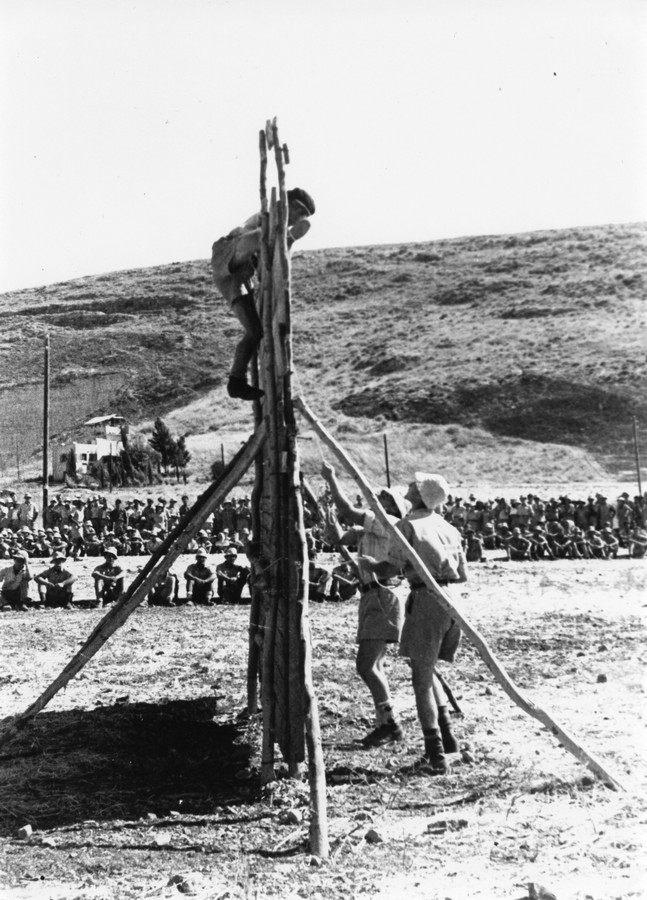 מפגן ספורט שימושי