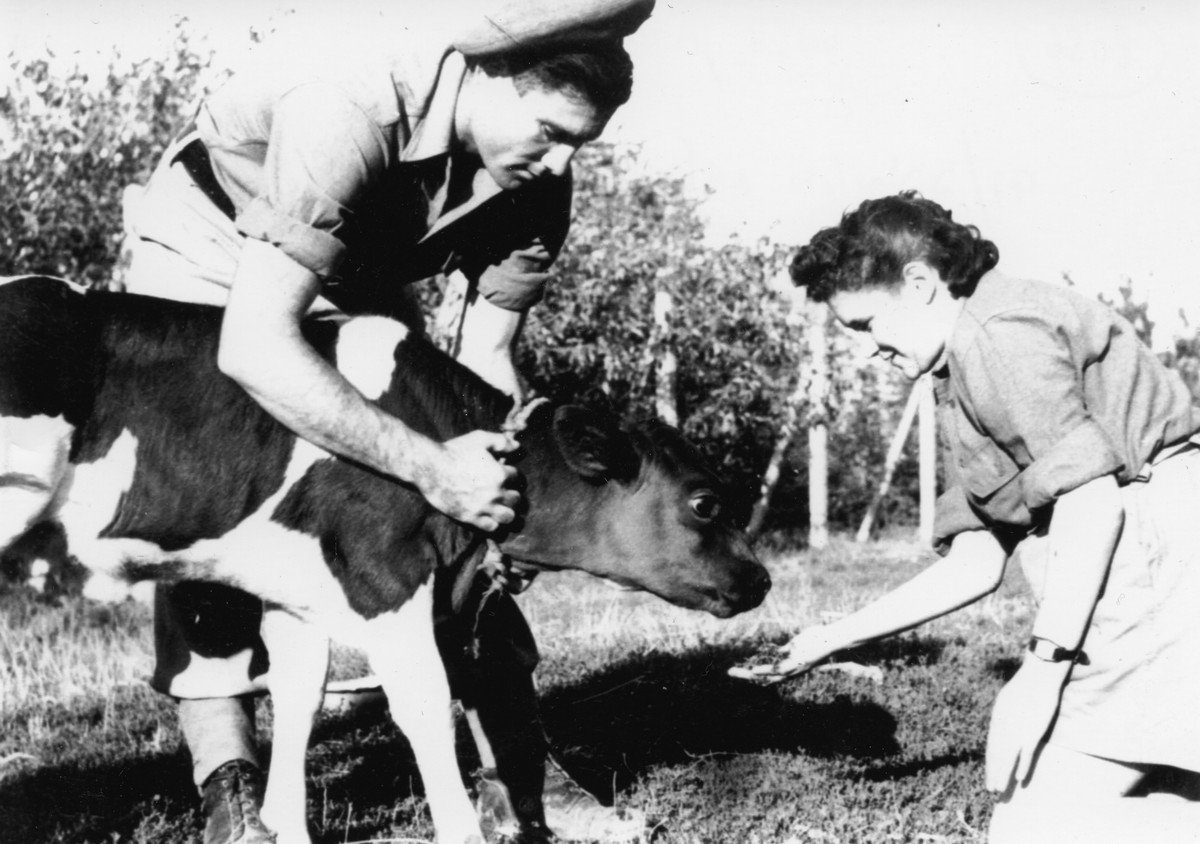 מחנות עליה
