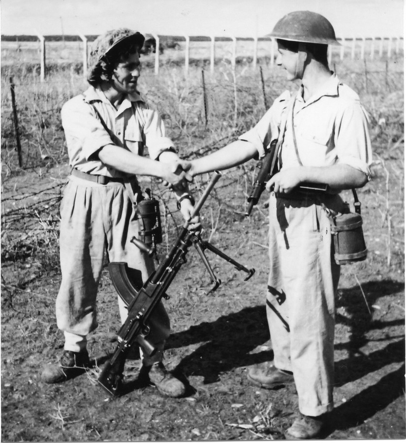 פלוגה ג' בגדוד החמישי