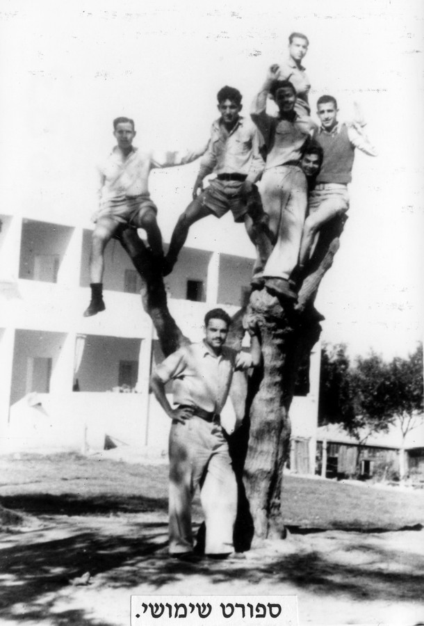 לעבות את האימונים
