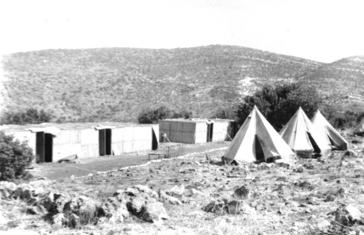 אילון