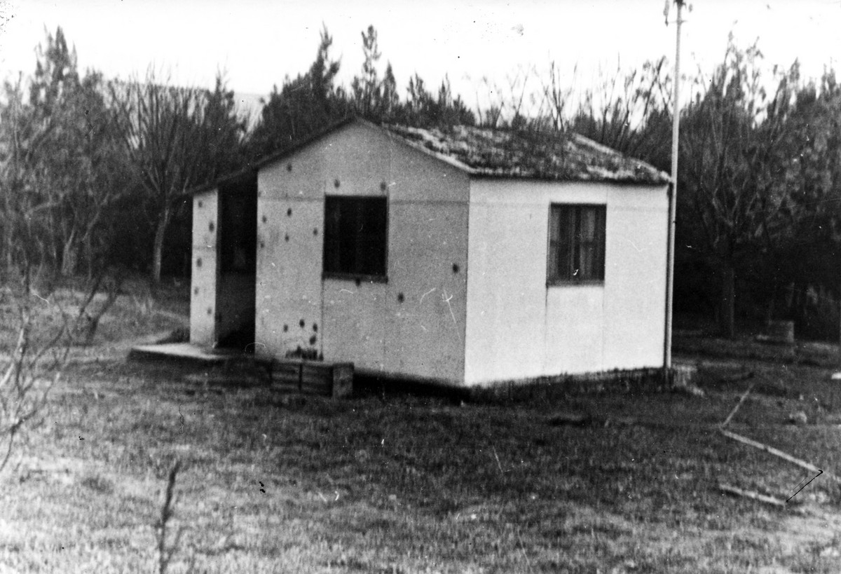 דפנה 1947