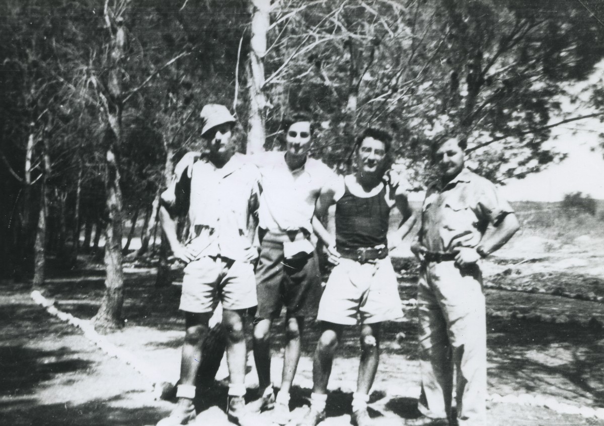 שריד