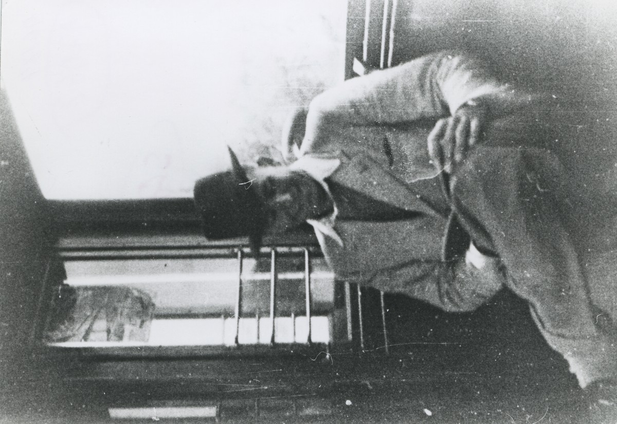 1948. קורס טייס בפראג, צ'כוסלובקיה.