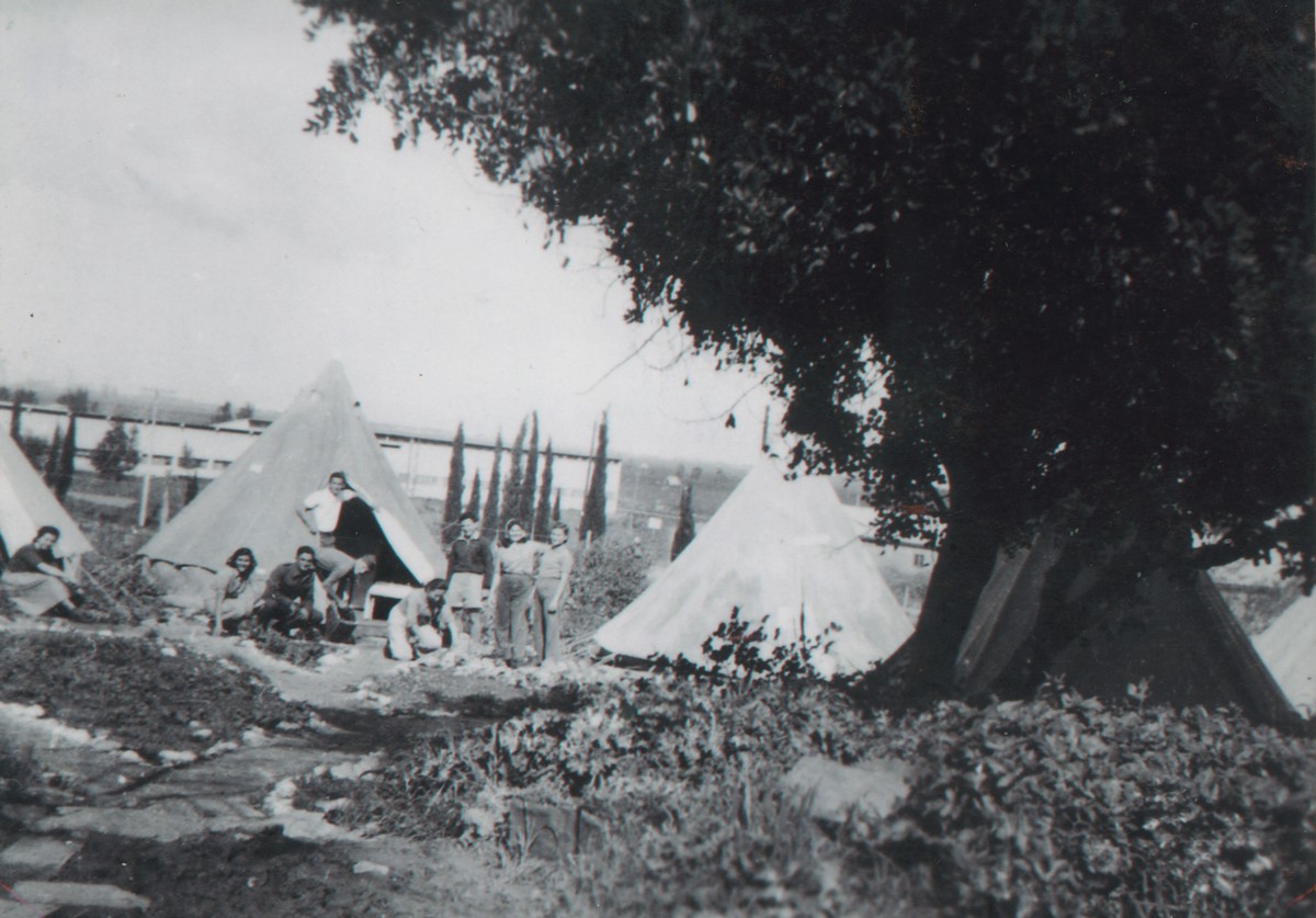 יגור 1946